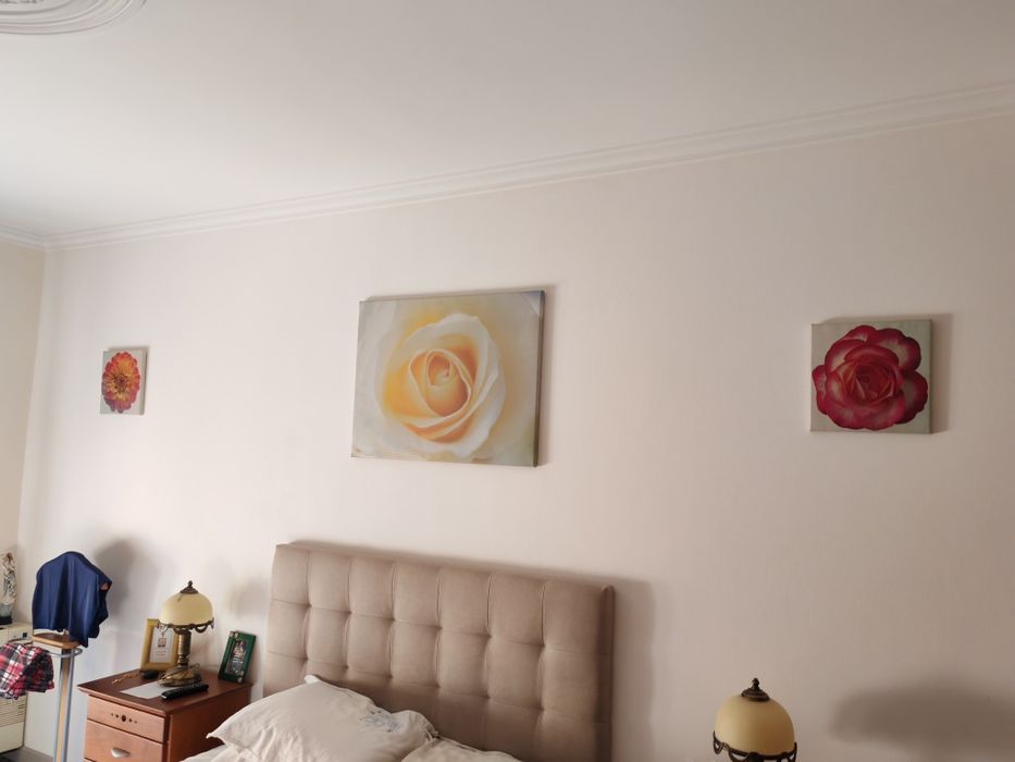 Conjunto de telas