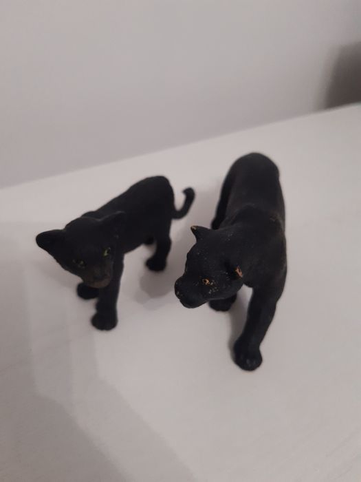 Czarna pantera plus młode