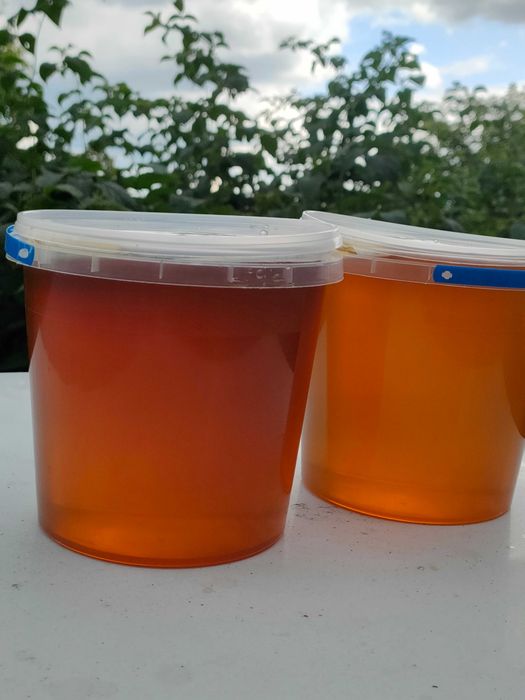 Продам  свіжий мед з особистої пасіки