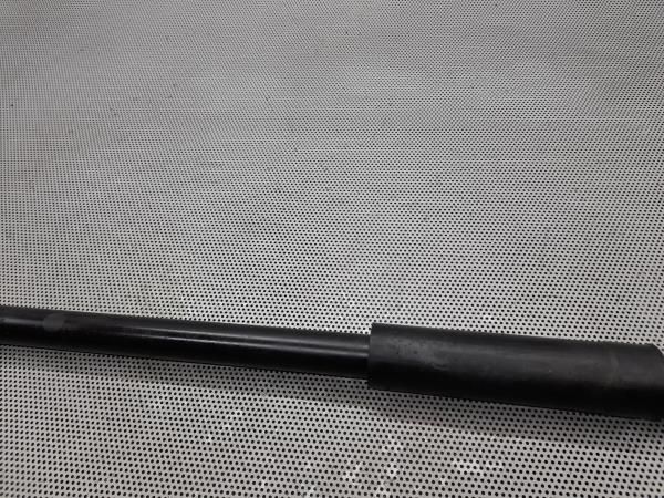 Amortecedor trás esquerdo FORD Fiesta VI (CB1, CCN)