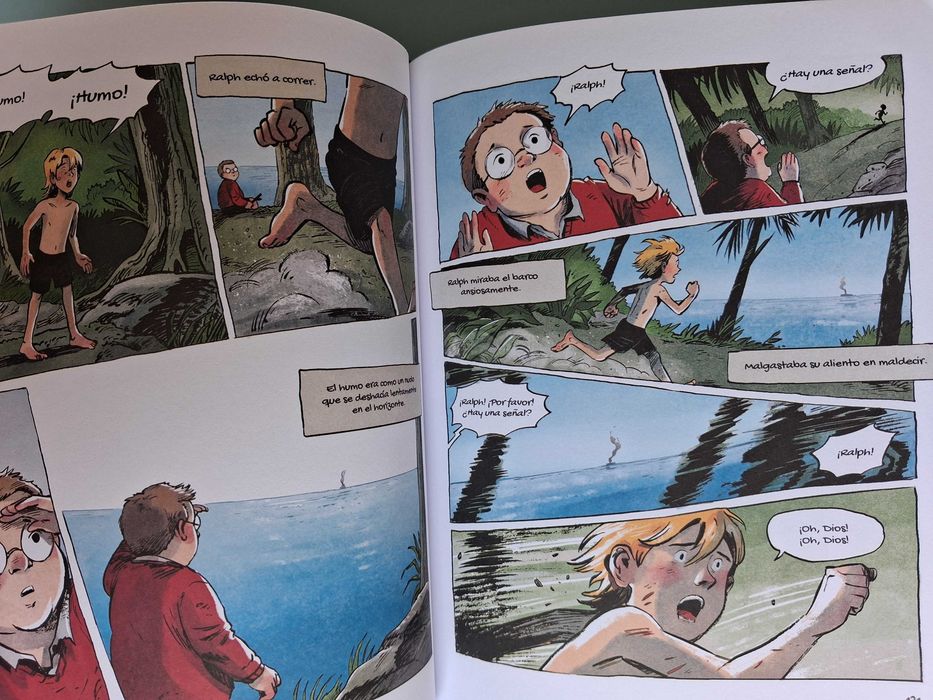 EL SEÑOR DE LAS MOSCAS - Novela Gráfica - Aimée de Jongh , capa dura