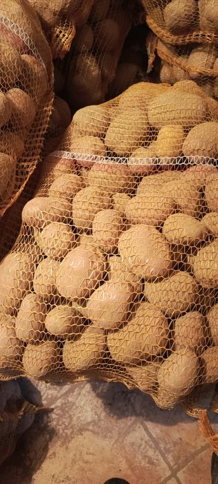 Ziemniaki Soraya , Jurek  Mariola,, Bellarosa