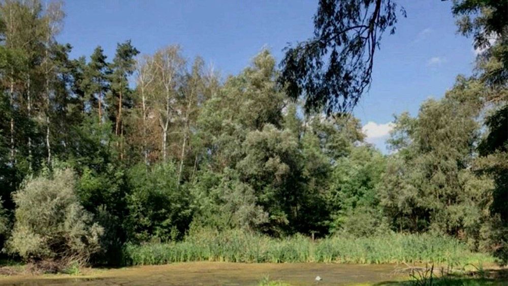 Продаж ОСГ 1,5 га з озером.