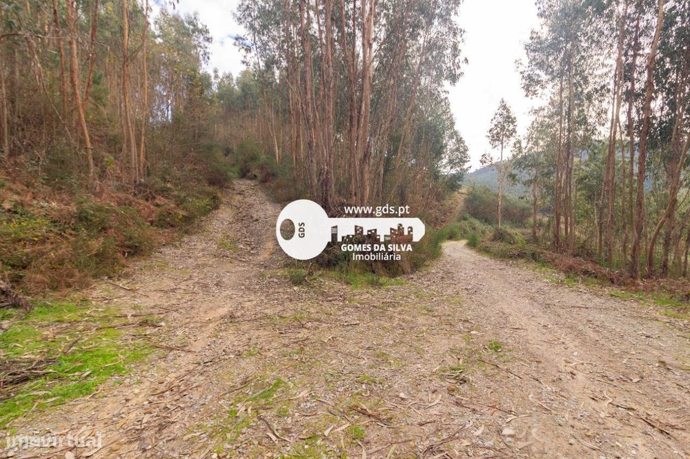 Terreno Rústico à Venda – 6.600m² | Travassos, Morreira, Braga — Morreira E Trandeiras, Braga