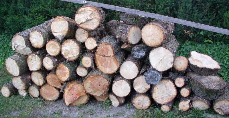 drewno świerk opał