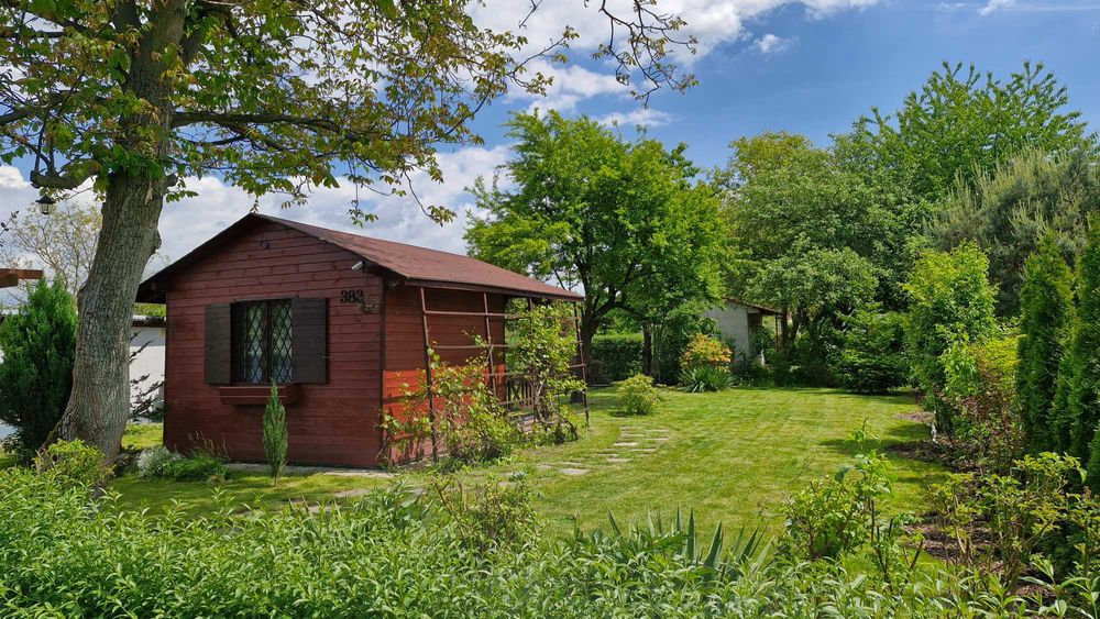 Działka ROD Wieniawskiego