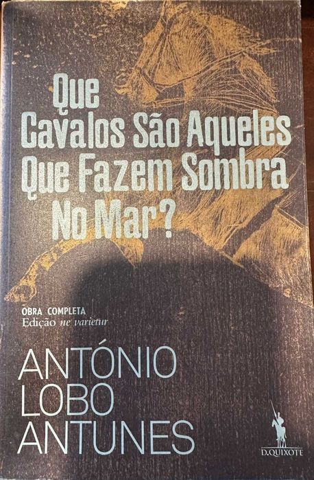 Que cavalos são aqueles que fazem sombra no mar?