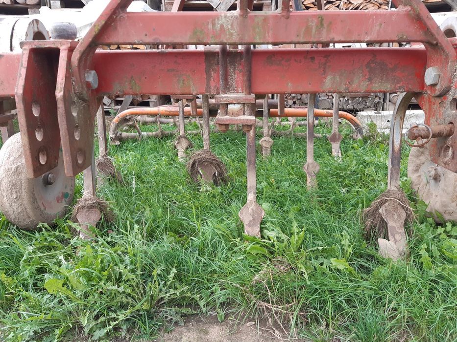 Gruber scierniskowy bezorkowy