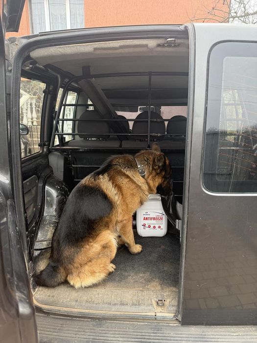 Fiat Doblo продам