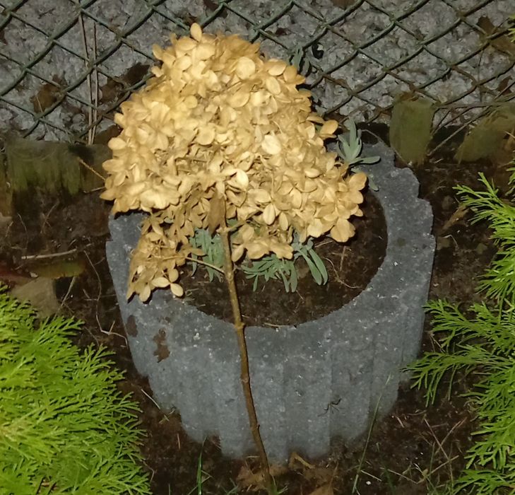 Gazony betonowe szare półksiężyc 3 sztuki