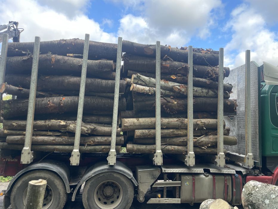 Drewno grab dąb brzoza czeresnia sosna w metrach metry . Kłoda