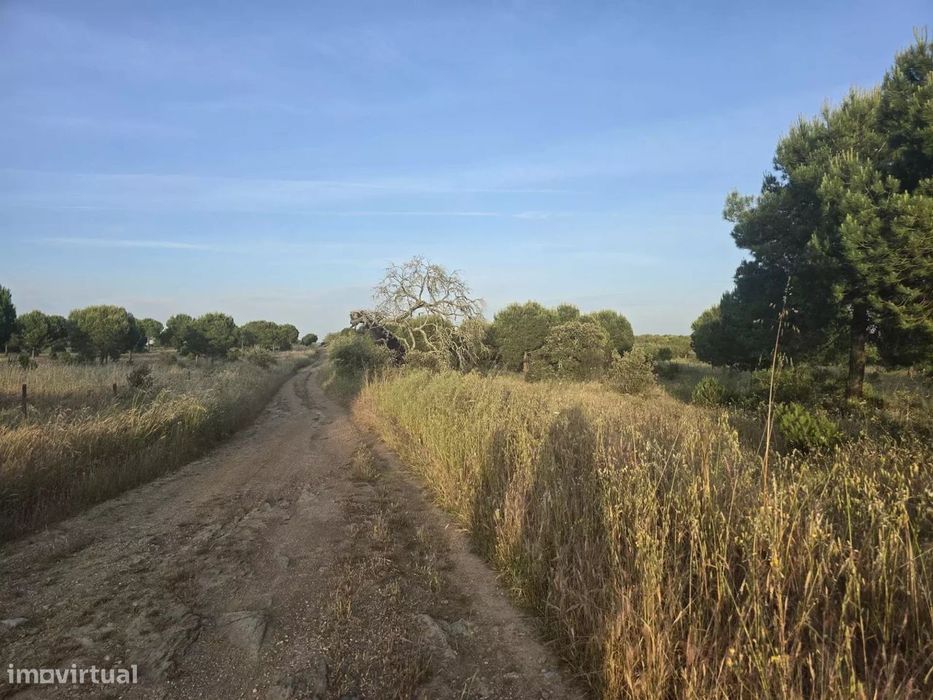 Baixo Alentejo – 55,9 ha de Liberdade e Potencial no Baixo Alentejo