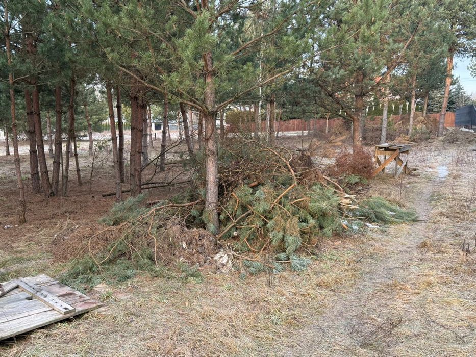 Oddam drewno po budowie i gałęzie