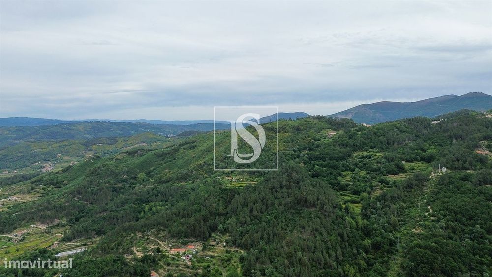MORADIA T2 COM 5800M2  em Bustelo,  Amarante