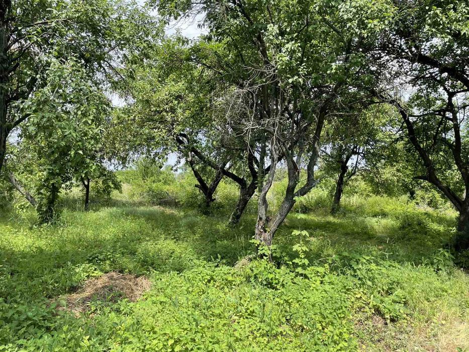 Будинок Остер 25 соток, без комісії