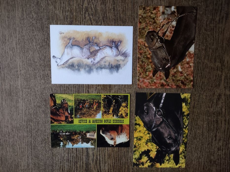 Stare pocztówki- konie