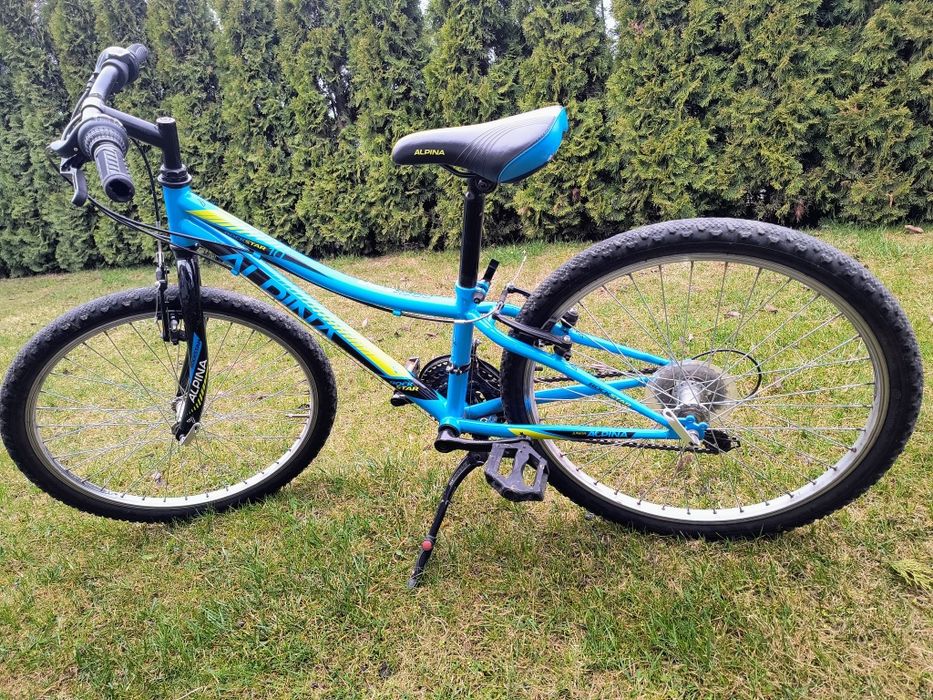 Rower Alpina 24 cale