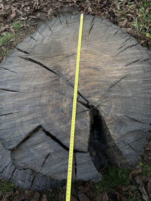 Слеби  морений дуб