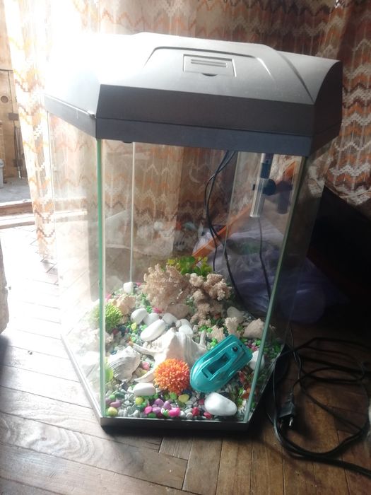 Акваріум для рибок