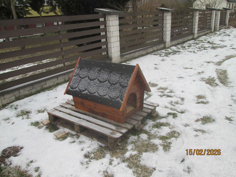 Buda dla niewielkiego pieska