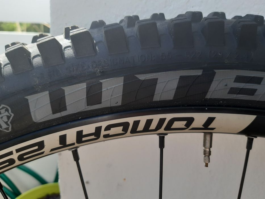 WTB Trail Boss 29 2.4 TCS Light Fast