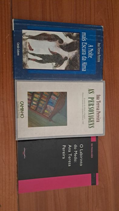 Literatura Teolinda Gersão / Ana Teresa Pereira / Fernanda Botelho