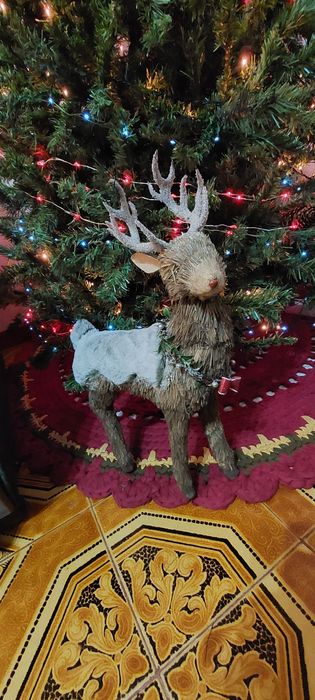 Renas para decoração de Natal