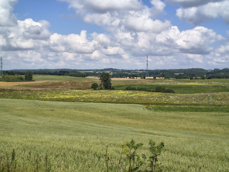 Działka budowlana UGOSZCZ