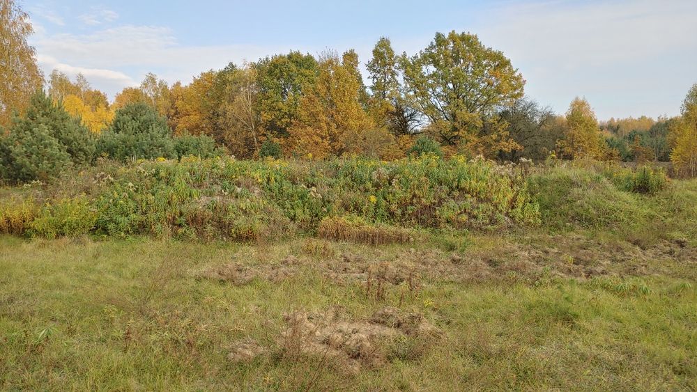 Oddam ziemie na podniesienie terenu