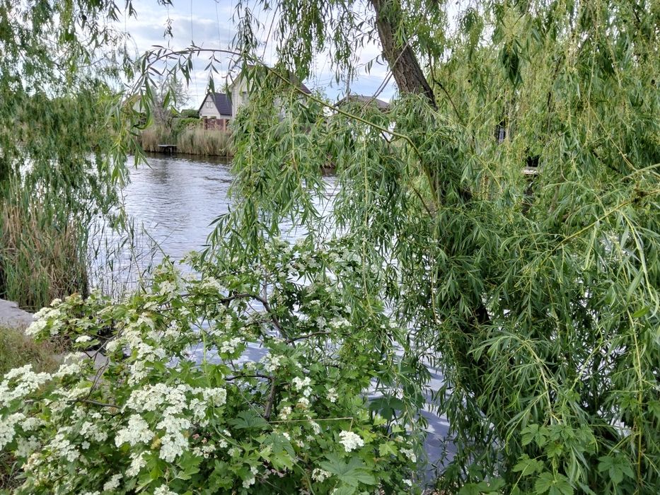 Оренда дом будинок с бассейном посуточно подобово река рыбалка Баня