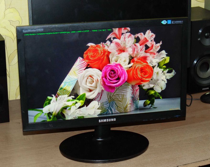 Монітор  SAMSUNG E1920