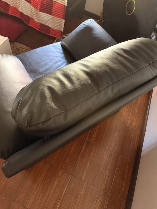 Poltrona de Pele