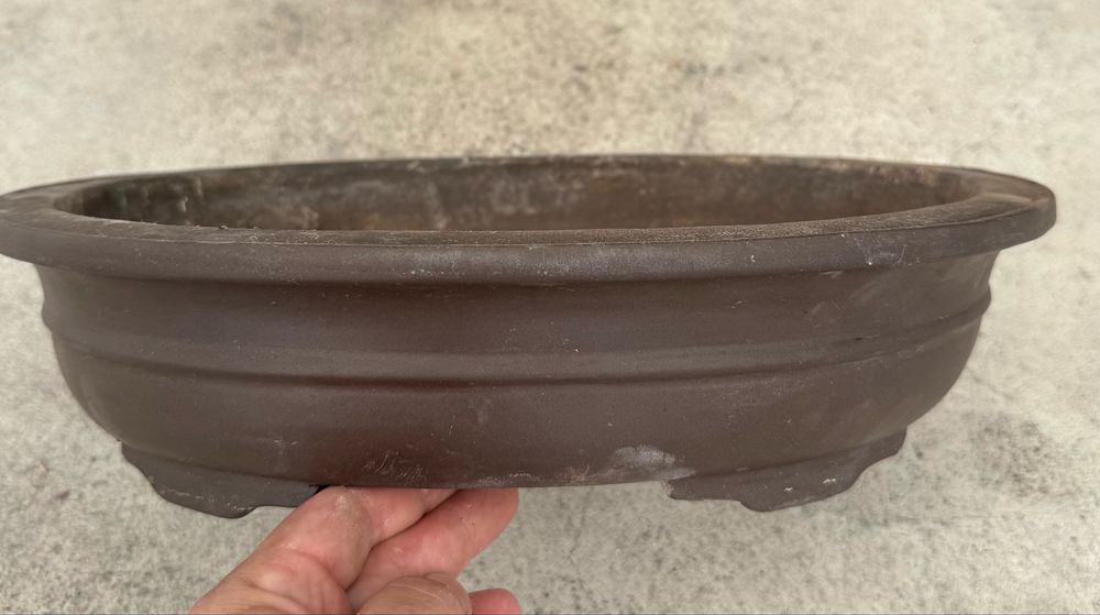 Vaso de bonsai boa qualidade