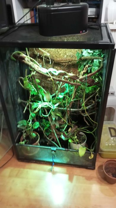 Terrarium szklane 90x60x45