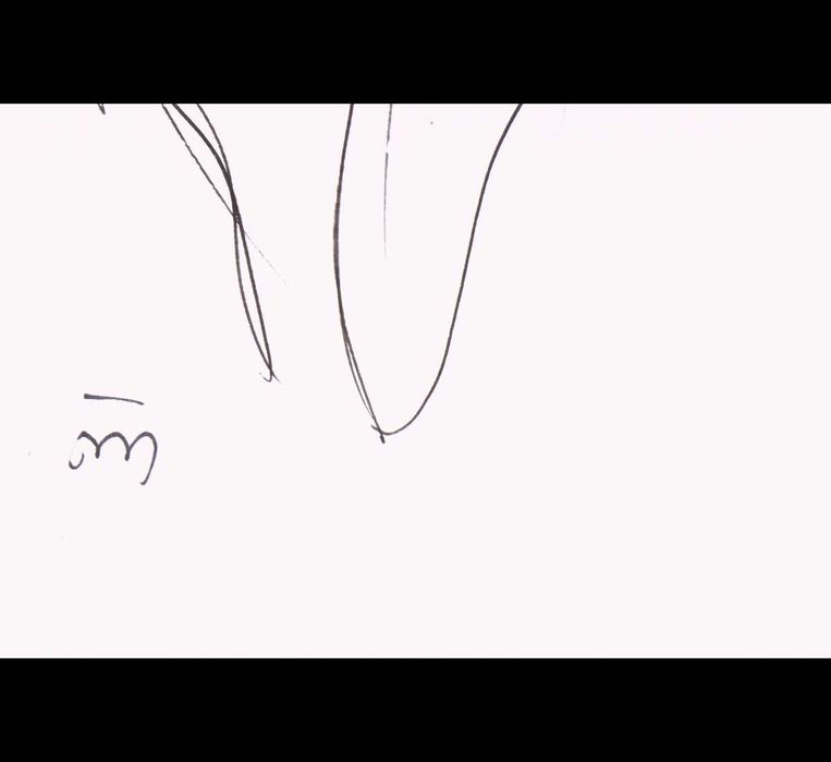 JOÃO CUTILEIRO  - Desenho a tinta da china