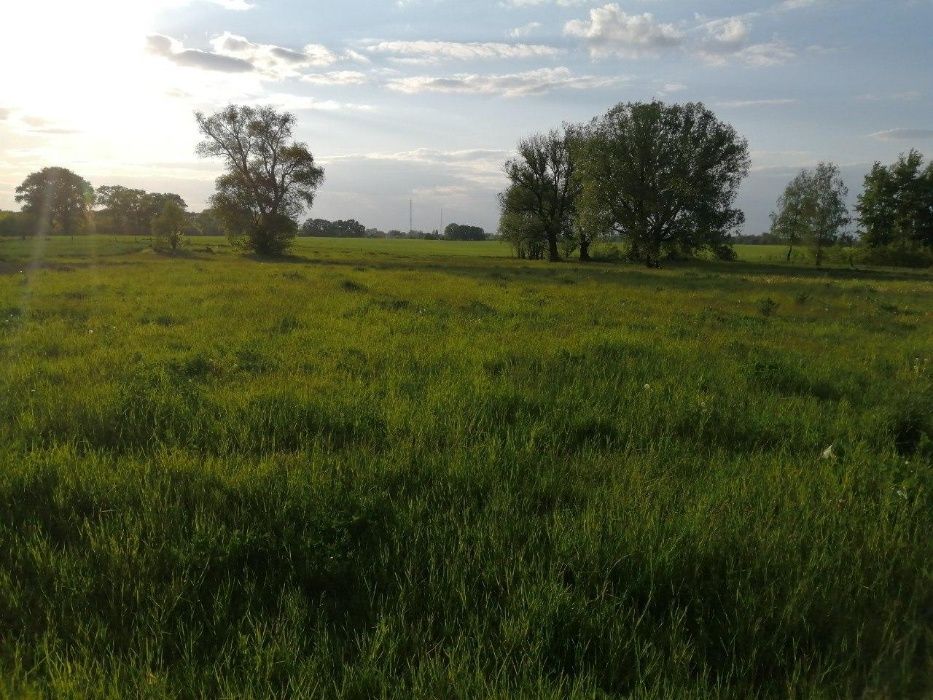 Продам дом под дачу