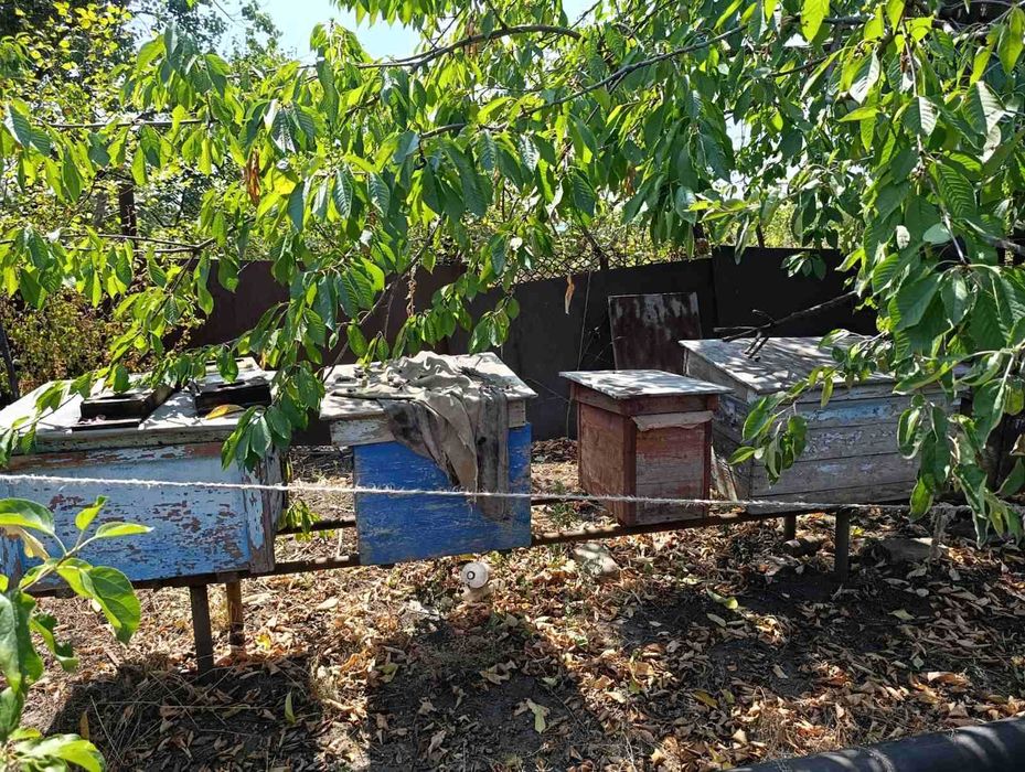 Продаж Вуликів для бджіл