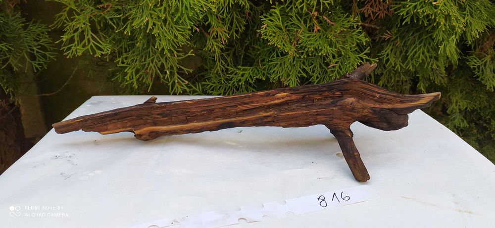 Korzeń do akwarium 38cm   816