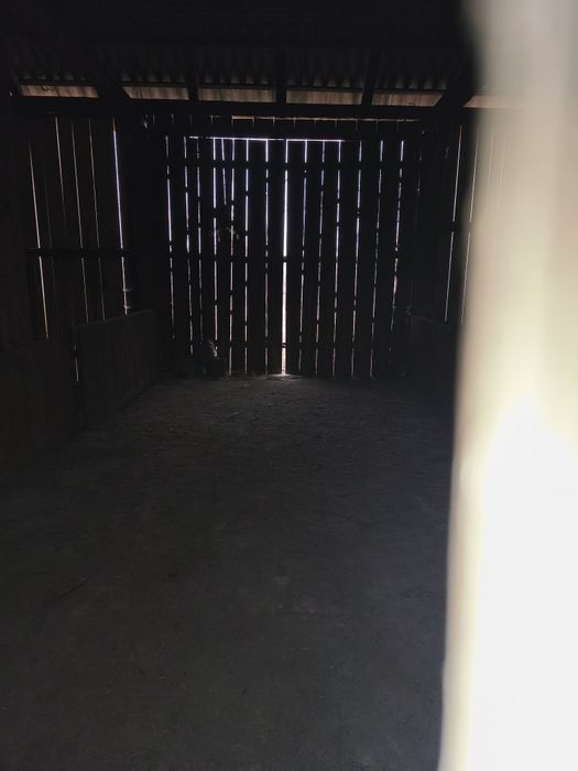 Działka budowlana o pow, 4756 m² w Bodzentynie przy ul. Podgórskiej - Widok 2