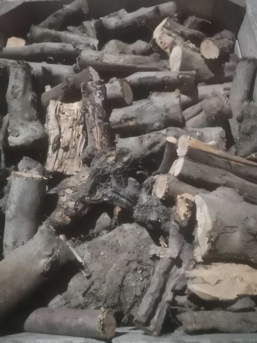 Drewno opałowe, kominkowe