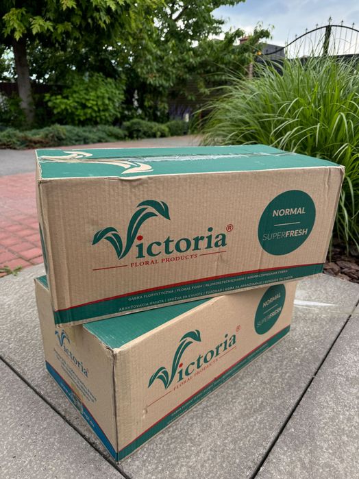 Оазис для квітів Victoria - ціна за дві упаковки