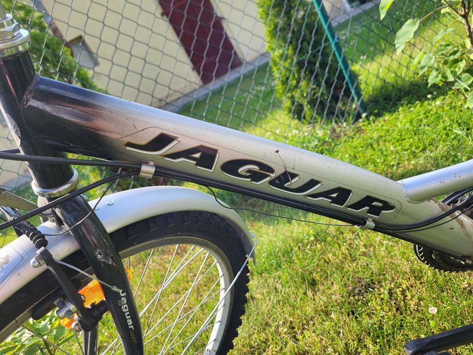 Rower damski   jaguar