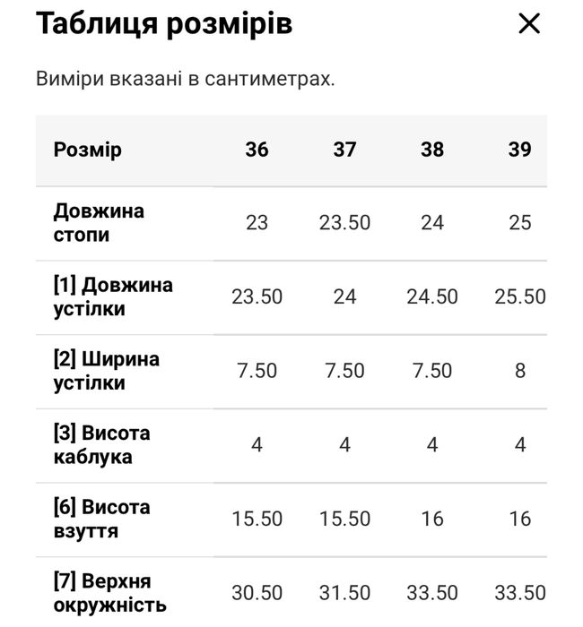 Зимові чоботи, типц угги