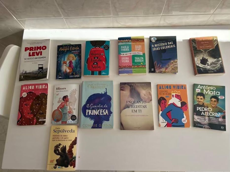 Lote de Livros Variados (Juvenis, Clássicos e PNL)
