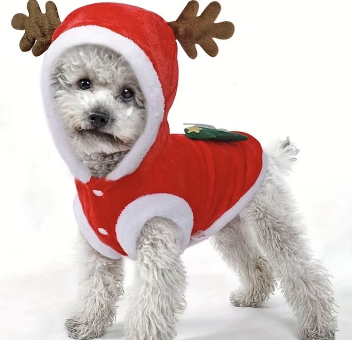 Шлейка з повідком XS та костюм новорічний S-M