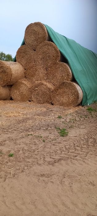 Słoma w belach 120/120 owinięte siatką