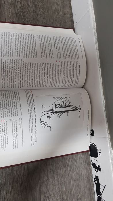 Livro anatomia cranio facial