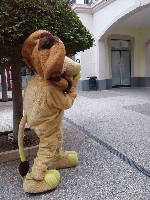 A melhor mascote para a tua festa de aniversário