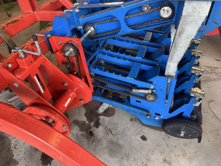 Plantador de cebolas