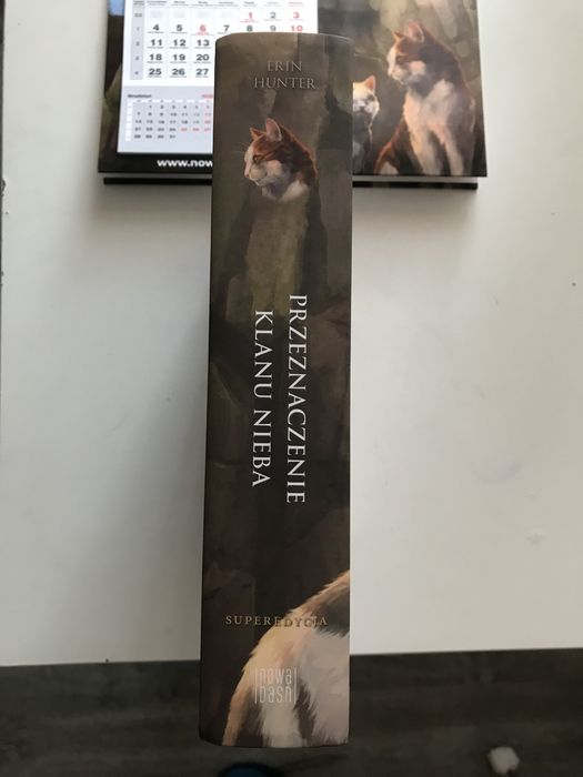 Wojownicy erin hunter przeznaczenie klanu nieba